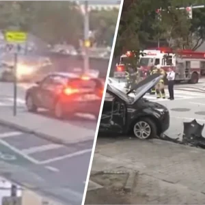 Miami insurance investigator